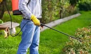 Herbal Pest Control